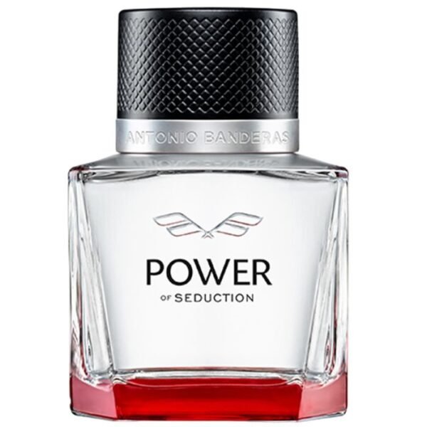 power of seduction edt for men