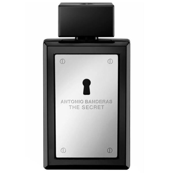 the secret edt 100ml for men