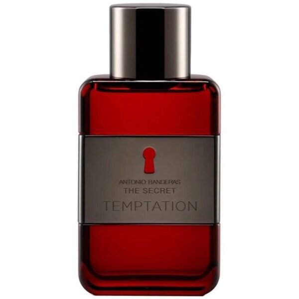 the secret temptation edt 100ml for men
